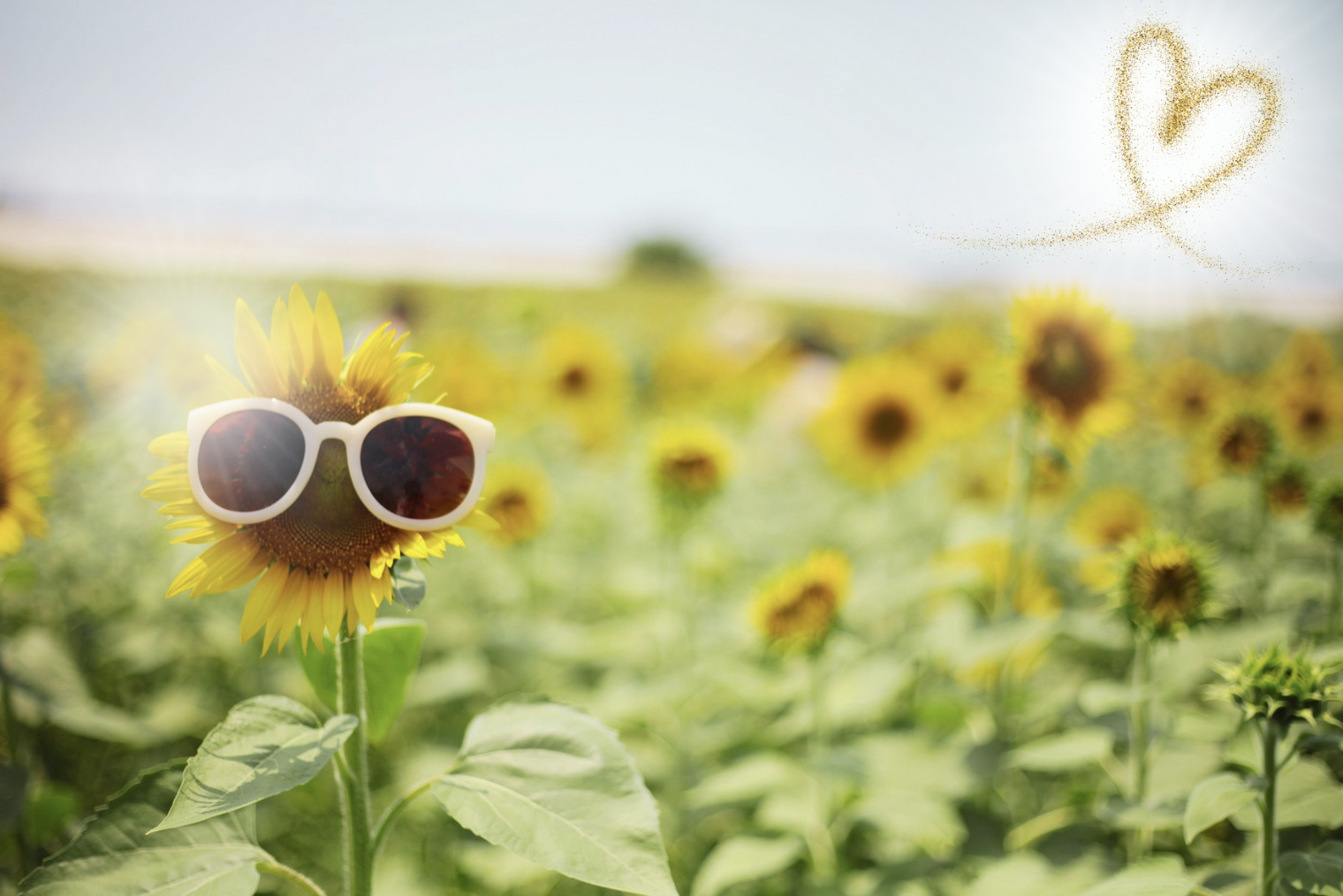 summer